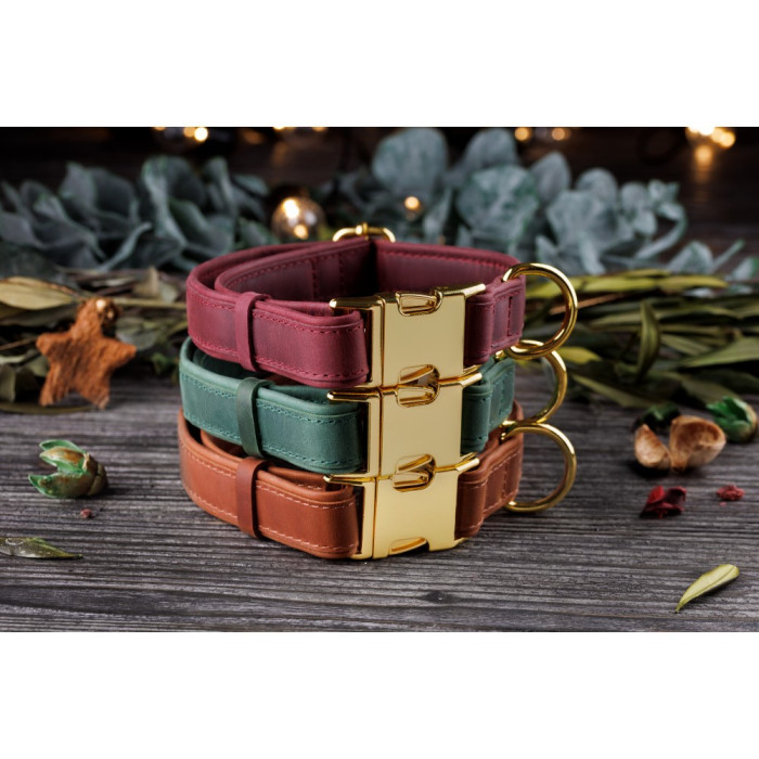 Ошейник для собак кожаный BronzeDog двойной Красный XL 45-66 см