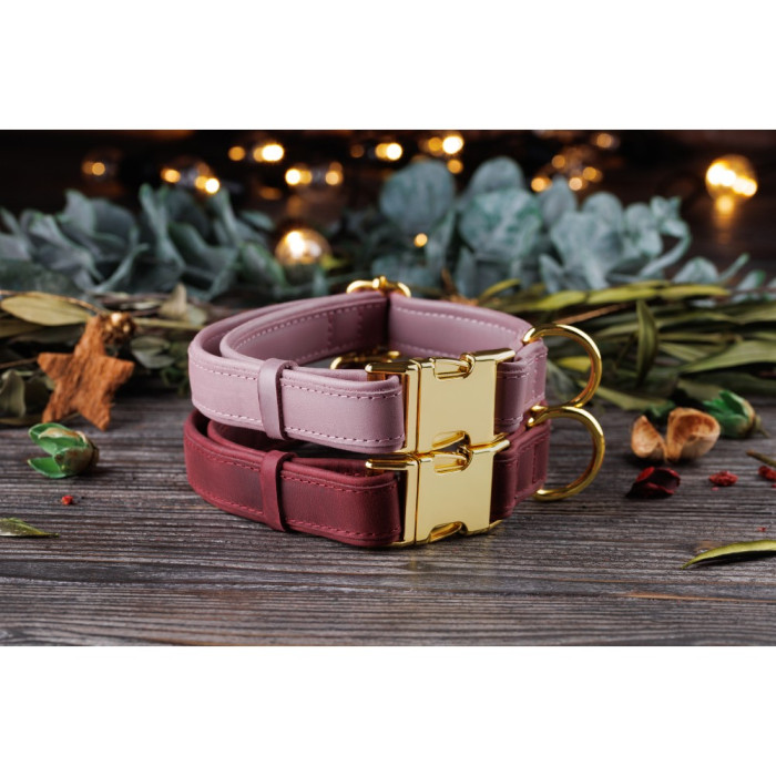 Ошейник для собак кожаный BronzeDog двойной Красный XL 45-66 см