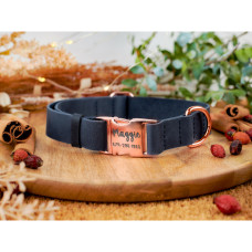 Нашийник для собак шкіряний Crazy золотий фастекс, Темно-Синій, S 25-33 см