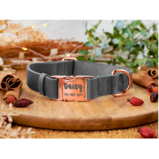 Нашийник для собак шкіряний Crazy золотий фастекс, Блакитний, S 25-33 см