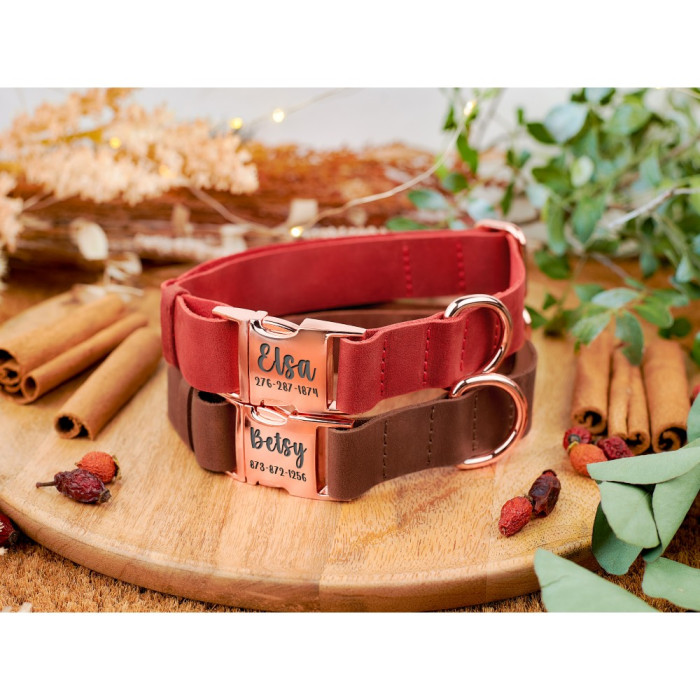 Ошейник для собак кожаный BronzeDog Crazy золотой фастекс, Розовый, S 25-33 см