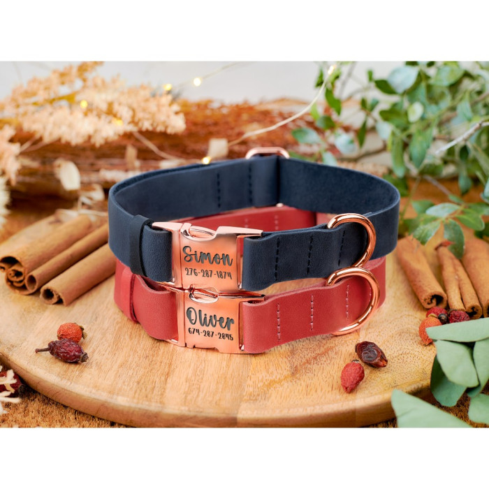 Ошейник для собак кожаный BronzeDog Crazy золотой фастекс, Розовый, S 25-33 см