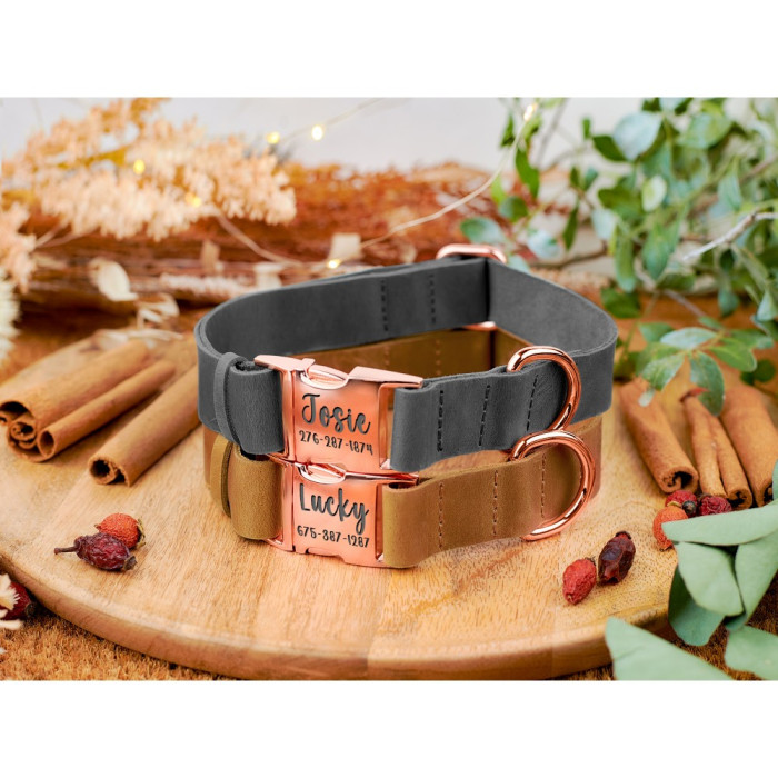 Ошейник для собак кожаный BronzeDog Crazy золотой фастекс, Розовый, S 25-33 см