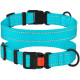 Нейлоновый ошейник для собак Active со светоотражением, голубой XL
