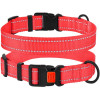 Нейлоновый ошейник для собак Active со светоотражением, коралловый XL