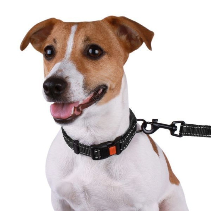 Нейлоновый ошейник для собак Active со светоотражением, черный XL 43-66 см