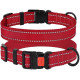 Нейлоновый ошейник для собак Active со светоотражением, красный L 35-45 см