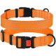 Нейлоновый ошейник для собак Active со светоотражением, оранжевый S 25-33 см