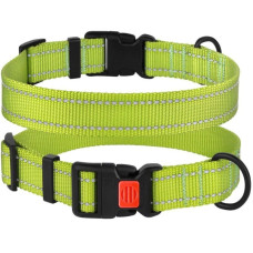 Нейлоновый ошейник для собак Active со светоотражением, салатовый S 25-33 см