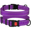 Нейлоновий нашийник для собак Active зі світловідбиттям, фіолетовий S 25-33 см