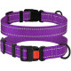Нейлоновый ошейник для собак Active со светоотражением, фиолетовый M 30-40 см