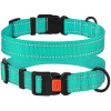 Нейлоновый ошейник для собак Active со светоотражением, бирюзовый XL 43-66 см