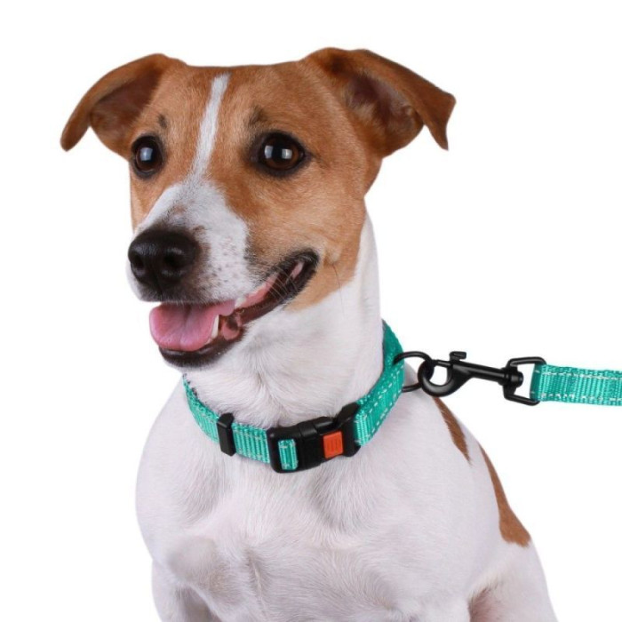 Нейлоновий нашийник для собак Active зі світловідбиттям, бірюзовий S 25-33 см