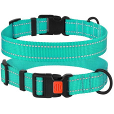 Нейлоновий нашийник для собак Active зі світловідбиттям, бірюзовий S 25-33 см