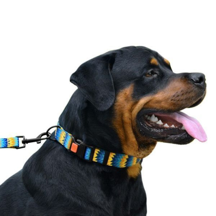 Нашийник для собак Urban Зигзаг нейлоновий з пластиковою пряжкою, Жовто-Синій