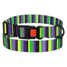 Ошейник для собак BronzeDog Urban нейлоновый в полоску с пластиковой пряжкой, фиолетово-салатовый 