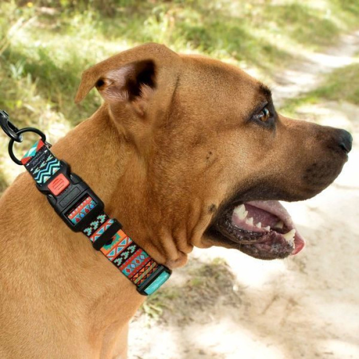 Ошейник для собак BronzeDog Urban нейлоновый c пластиковой пряжкой, Ацтеки XL 43-66 см