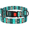 Ошейник для собак BronzeDog Urban нейлоновый c пластиковой пряжкой, Инки L 35-45 см