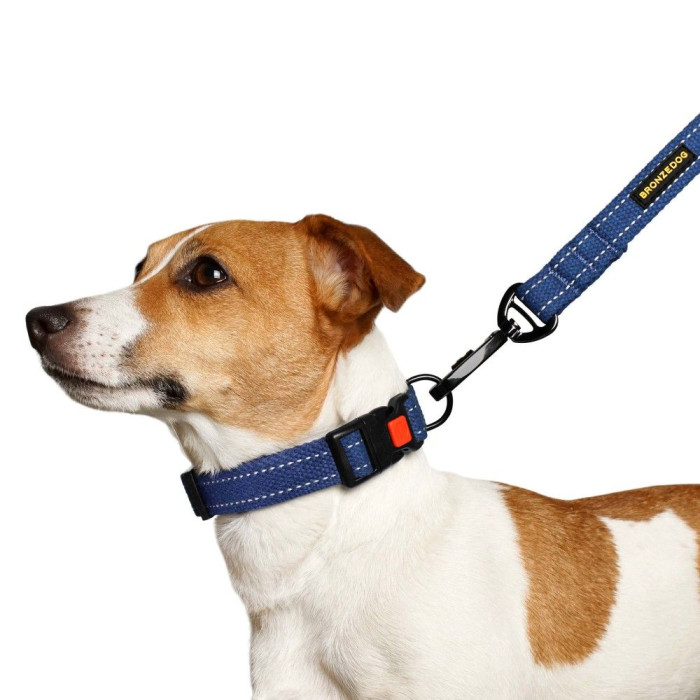Нашийник для Собак Сotton Рефлекторний бавовна брезент Синій S 25-33 см