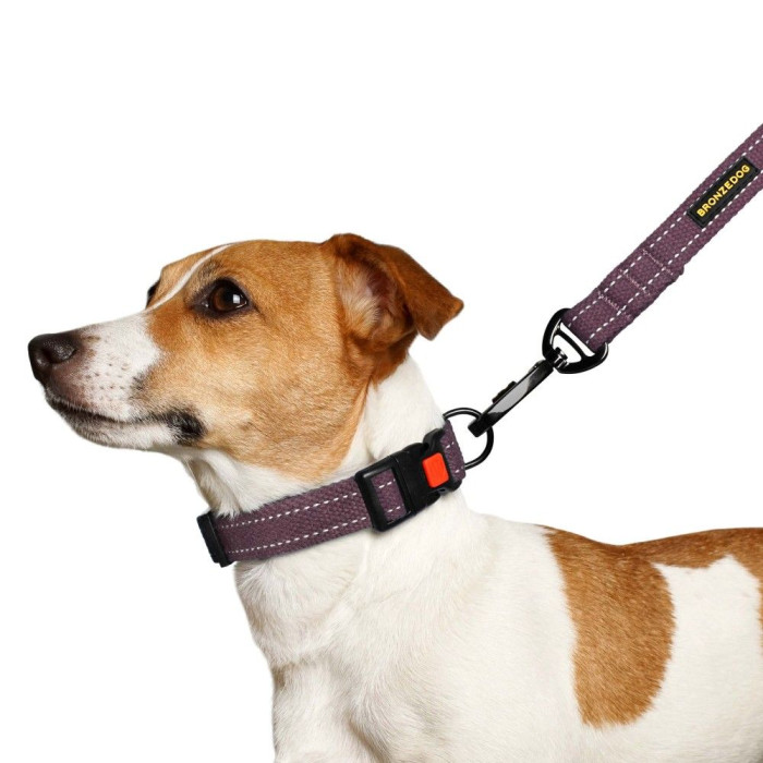 Ошейник для Собак Bronzedog Сotton Рефлекторный х/б Брезент Черри L 35-45 см