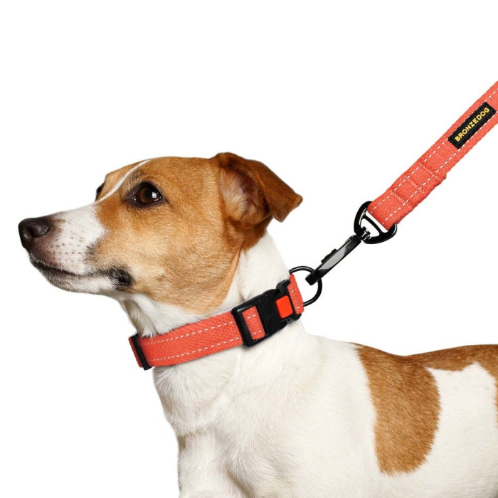 Ошейник для Собак Bronzedog Сotton Рефлекторный х/б Брезент Оранжевый L 35-45 см