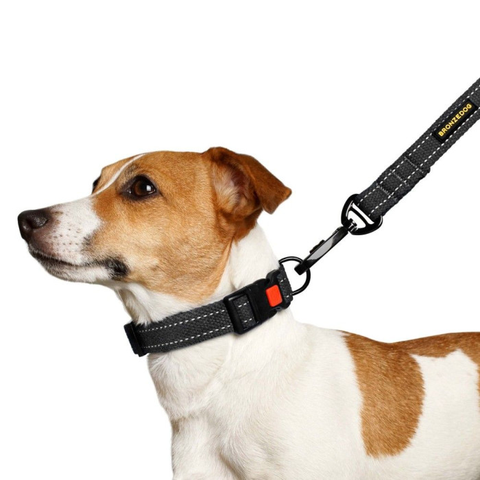 Ошейник для Собак Bronzedog Сotton Рефлекторный х/б Брезент Графит M 30-40 см