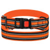 Ошейник для Собак BronzeDog Mesh c Пластиковой Пряжкой, Оранжевый XL 43-66 см