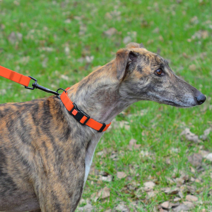 Нашийник для Собак BronzeDog Surf водовідштовхуючий із захисним полімерним покриттям та пластиковою пряжкою Помаранчевий, L 35-45 см