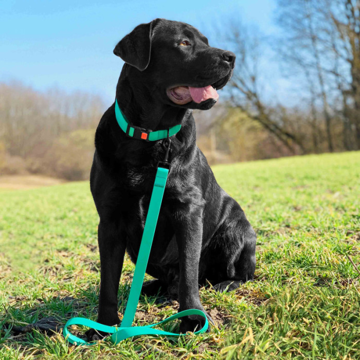 Ошейник для Собак BronzeDog Surf Водоотталкивающий с Защитным Полимерным Покрытием и Пластиковой Пряжкой Зеленый, S 25-33 см