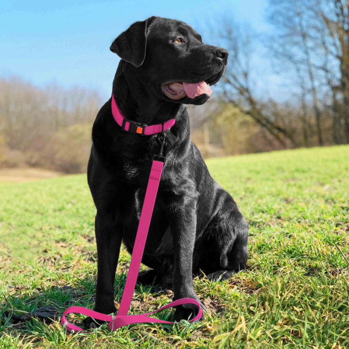 Ошейник для Собак BronzeDog Surf Водоотталкивающий с Защитным Полимерным Покрытием и Пластиковой Пряжкой Розовый, XL 43-66 см