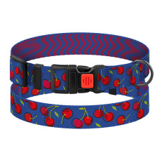Ошейник для собак BronzeDog Urban Fruits нейлоновый с пластиковой пряжкой Вишни, S 25-33 см
