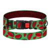 Ошейник для собак BronzeDog Urban Fruits нейлоновый с пластиковой пряжкой Арбуз, L 35-45 см