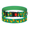 Ошейник для собак BronzeDog Urban Fruits нейлоновый с пластиковой пряжкой Авокадо, L 35-45 см