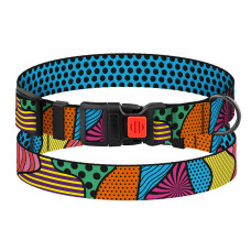 Ошейник для собак BronzeDog Urban Art нейлоновый с пластиковой пряжкой Поли, S 25-33 см