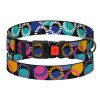 Ошейник для собак BronzeDog Urban Art нейлоновый с пластиковой пряжкой Диско, L 35-45 см