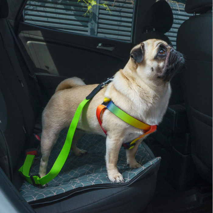 Автомобильный Ремень Безопасности для Собак Barksi Нейлоновый Салатовый, S, 46-80 см