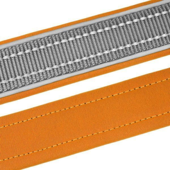 Ошейник для собак BronzeDog Sport Серо-Оранжевый XL 51-59 см