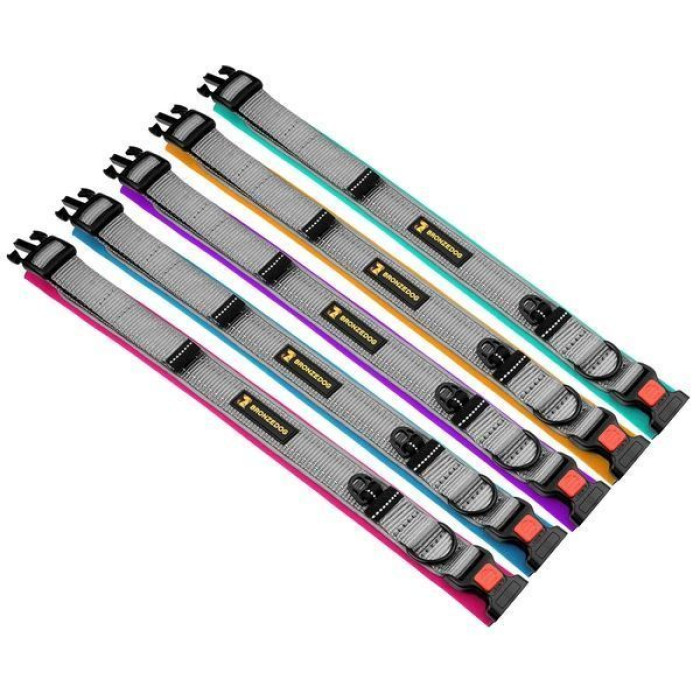 Ошейник для собак BronzeDog Sport Серо-Бирюзовый L 43-51 см