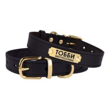 Кожаный ошейник для собак с литой латунной фурнитурой, черный 2XS 18-25 см