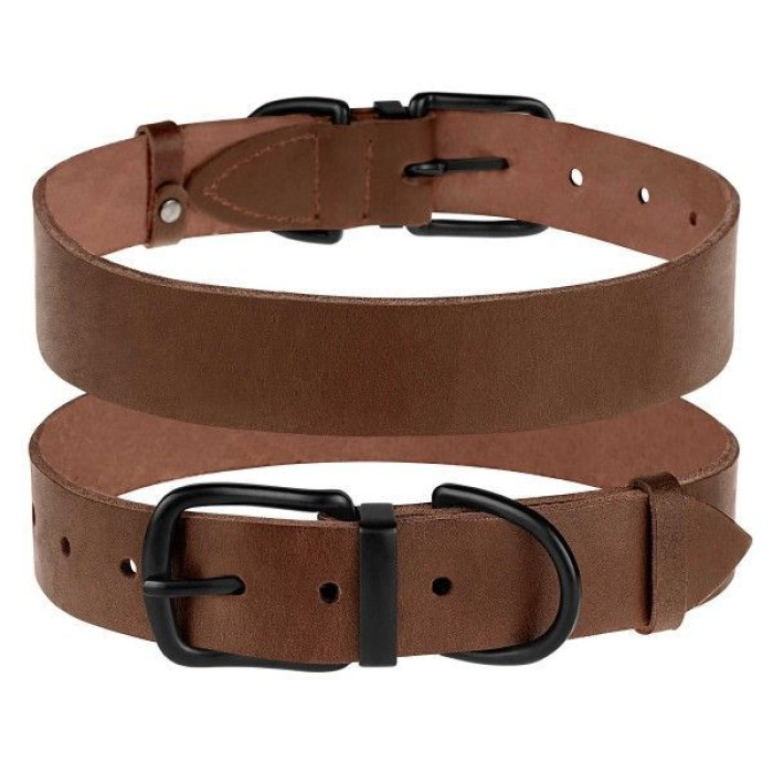 Кожаный ошейник для собак с металлической фурнитурой, коричневый 2XS  19 - 26,5 см