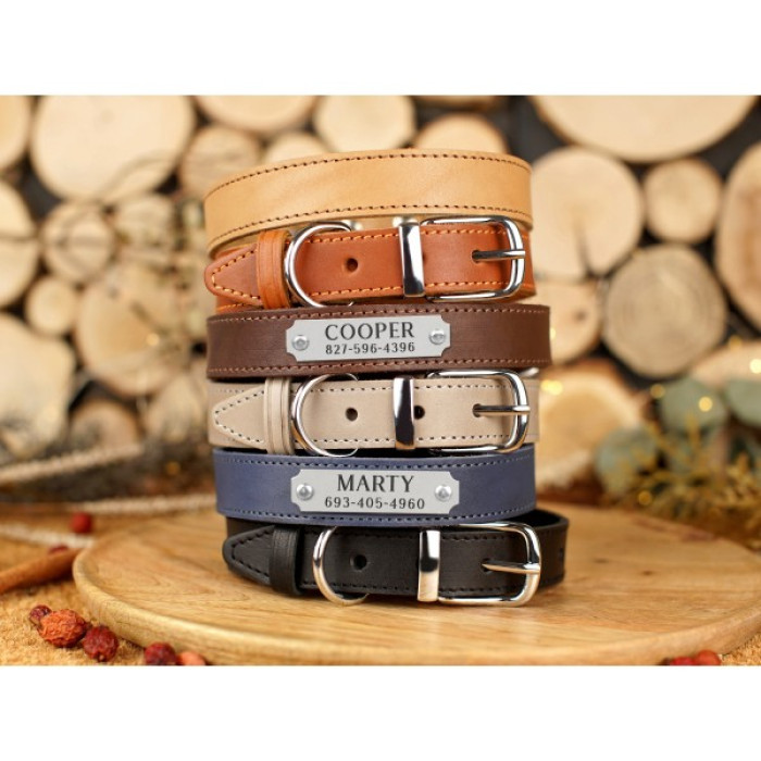 Ошейник для собак кожаный с хромированной фурнитурой Classic Бежевый, S 28-36 см