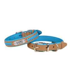 Нашийник для собак шкіряний підклеєний плетений Бежевий хром Блакитний S 28-36 см