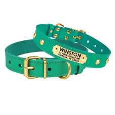 Кожаный ошейник для собак с золотистыми заклепками и адресником, бирюзовый 