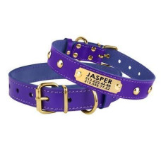 Кожаный ошейник для собак с золотистыми заклепками и адресником, Фиолетовый 