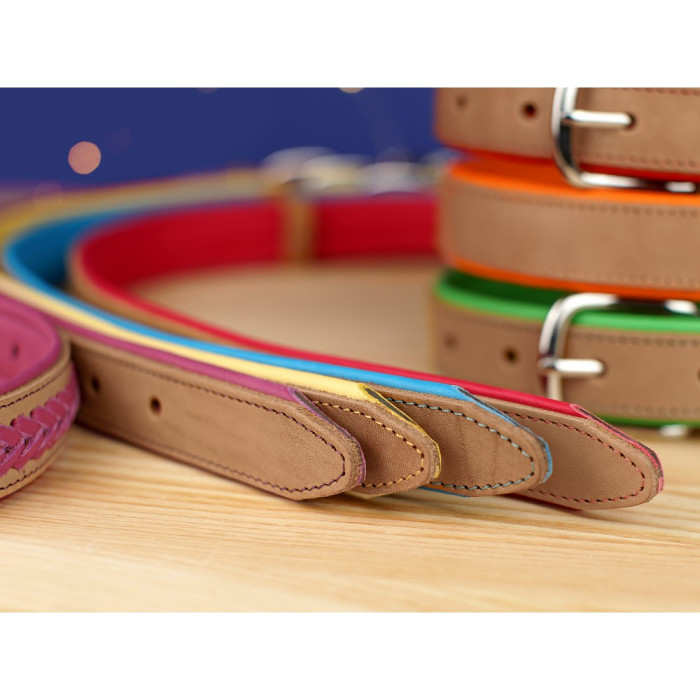 Ошейник для собак кожаный BronzeDog подклеенный Бежевый хром Зеленый S 28-36 см