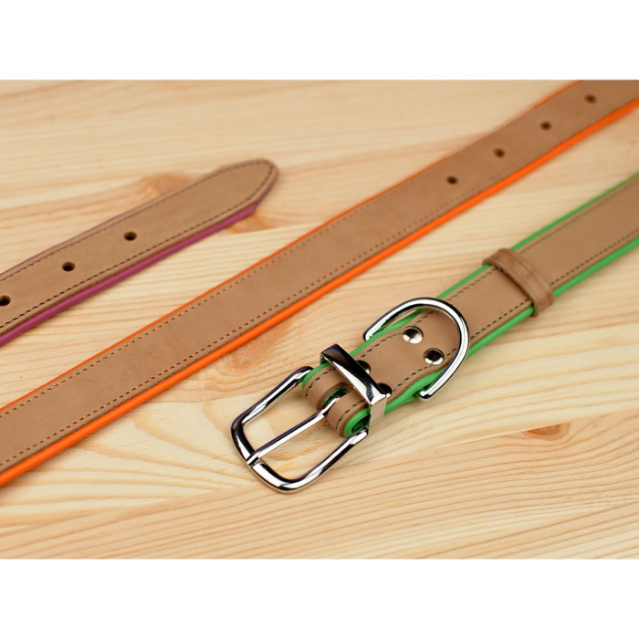 Ошейник для собак кожаный BronzeDog подклеенный Бежевый хром Зеленый S 28-36 см