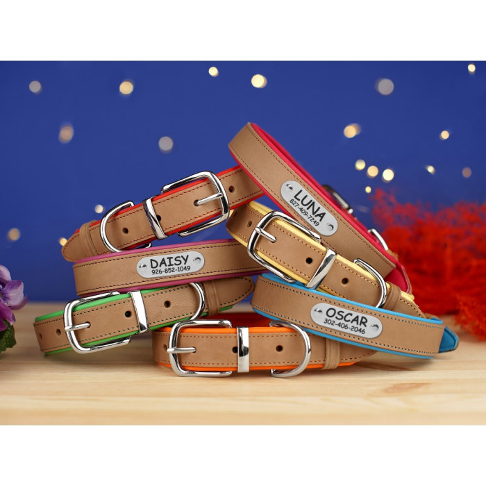 Ошейник для собак кожаный BronzeDog подклеенный Бежевый хром Зеленый S 28-36 см