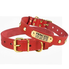 Кожаный ошейник для собак с золотистыми заклепками и адресником, Красный 