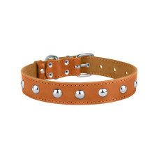 Ошейник для собак кожаный BronzeDog Classic со стальной фурнитурой и заклепками, Горчичный 