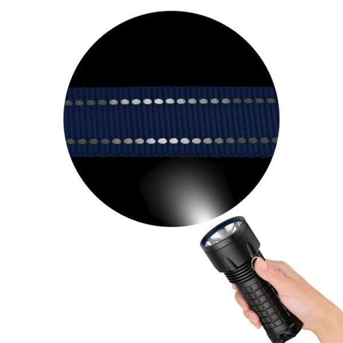 Поводок капроновый светоотражающий, дл.152см, синий 